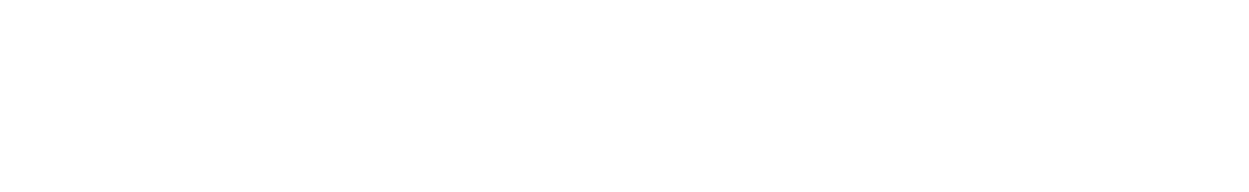 Titan Pool Covers Logo White